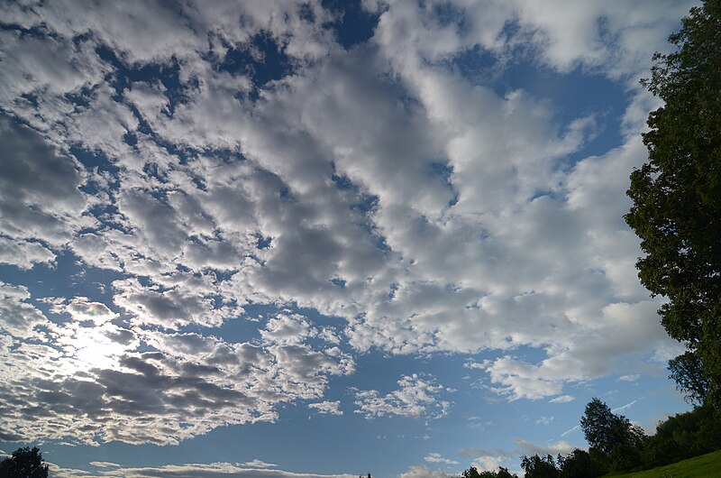 Слоесто-купести облаци (Stratocumulus)